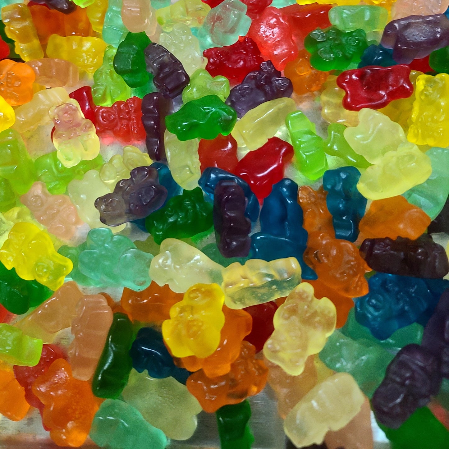 Enchilado Gummy Bears